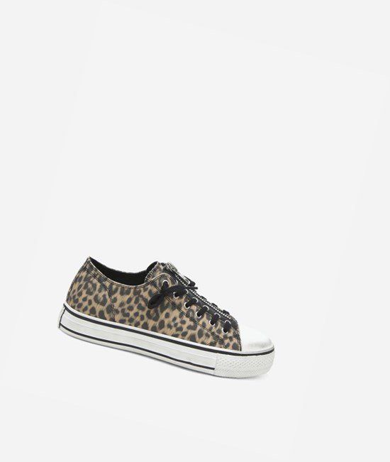 Beige / Black Women's ASH Verso Low-Top Sneakers | 014XGNUTE