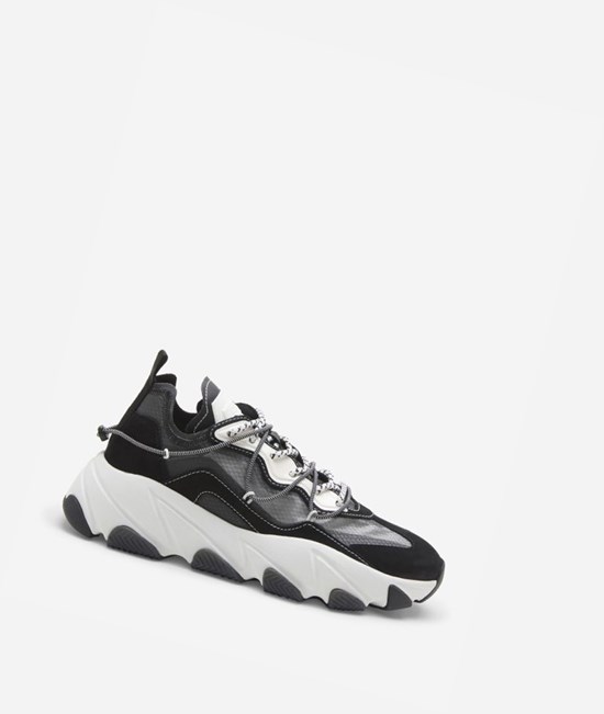 Black / White / Shining Off White Women's ASH Extra Bis Low-Top Sneakers | 753LHGYQF