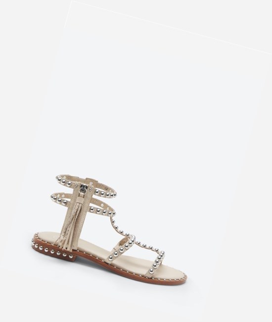 Eggnug Women's ASH Power Flat Sandals | 684XBISCH