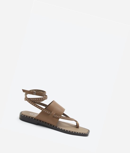 Fango Women's ASH Medusa Studs Flat Sandals | 530PQKJHD