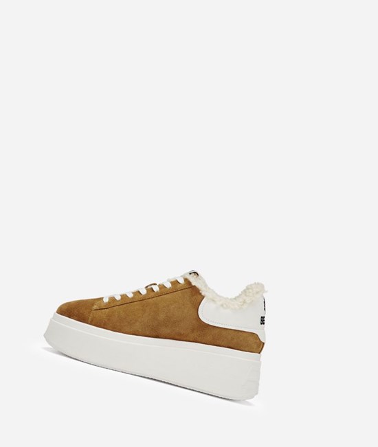 Golden Brown / White Women's ASH Moby Be Kind Fur Low-Top Sneakers | 568ZFUDBI