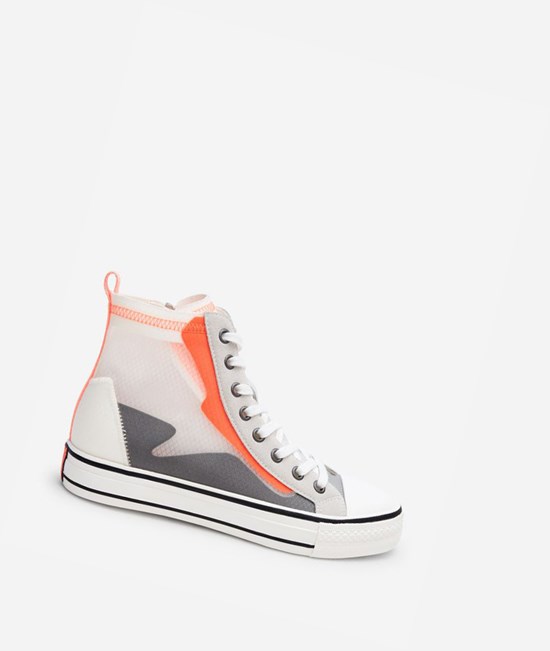 Grey / Orange Women's ASH Gasper High-Top Sneakers | 839FJRIUA