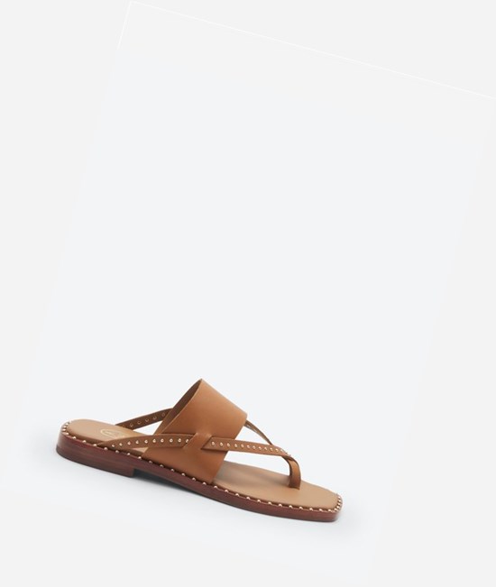 New Cinnamon Women's ASH Med Flat Sandals | 832HLQTWX