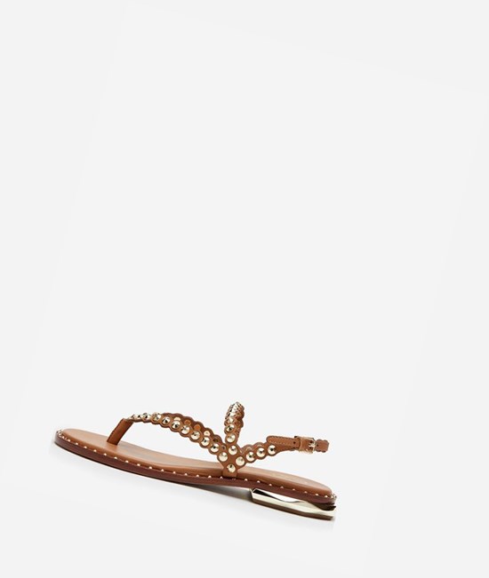 New Cinnamon Women's ASH Patchy Flat Sandals | 379XSWMTA