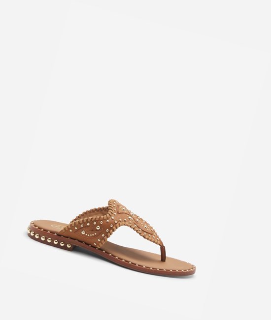 New Cinnamon Women's ASH Phedra Flat Sandals | 827ZIWSNH