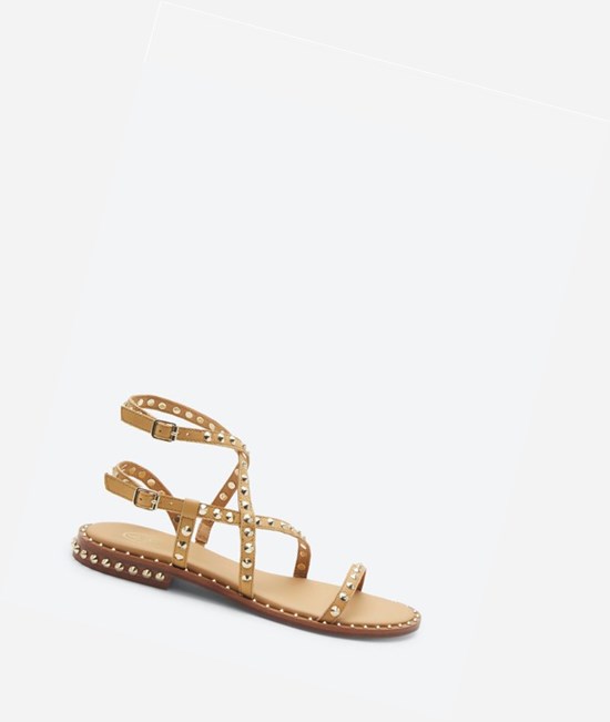 Nude Women's ASH Petra Flat Sandals | 780RIPFCX