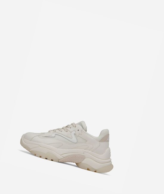 Pristine / Shell / White Women's ASH Addict Low-Top Sneakers | 728VIHLUC