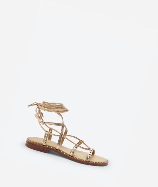 Rame Women's ASH Princess Flat Sandals | 342XNPWZB