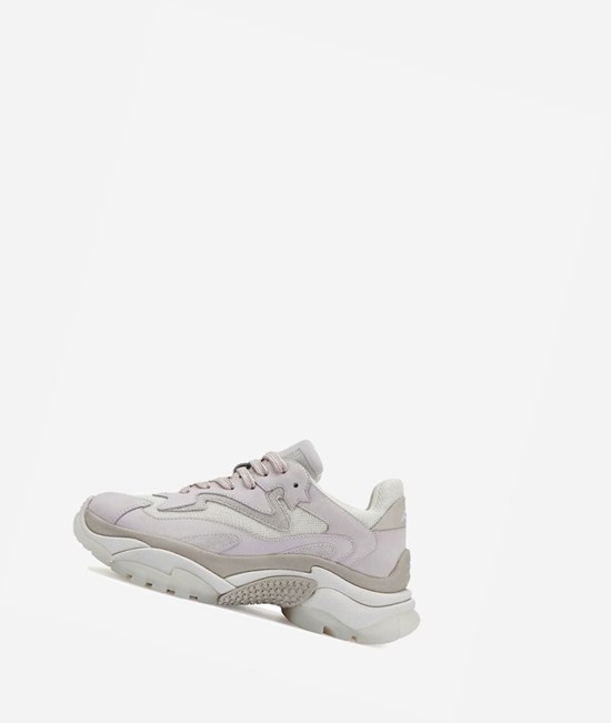 Shell / Off White / Talc / Pristine Women's ASH Addict Chunky Sneakers | 165OIFXRV