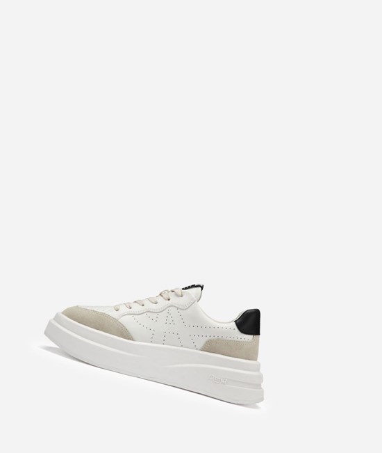 Shell / White / Black Women's ASH Impuls Low-Top Sneakers | 276TDBHGW