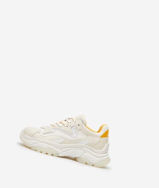 Talc / Off White / Spark / Pristine Women's ASH Addict Chunky Sneakers | 730KVRZMB