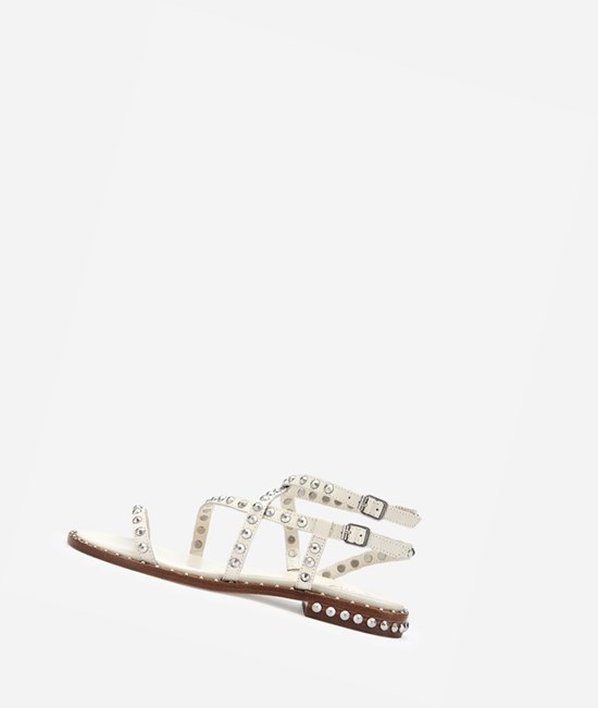 Talc Women's ASH Petra Flat Sandals | 748CXVKPH