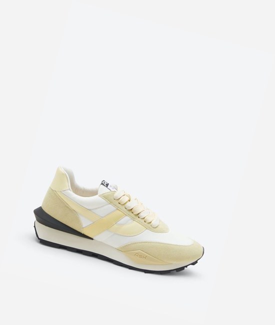 Vaniglia / Almond Oil / Off White Women's ASH Spider Low-Top Sneakers | 129GXMOKE