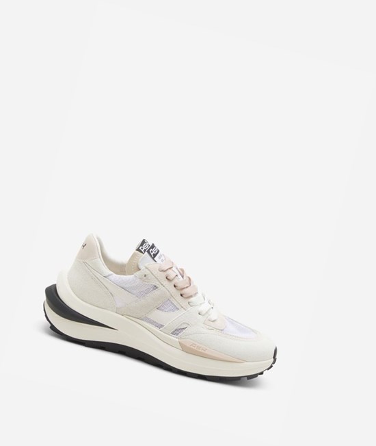 White / Eggnug / Off White Women's ASH Spider 620-02 Low-Top Sneakers | 239GOAKUQ