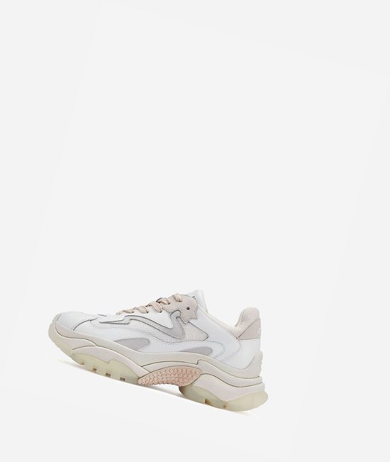 White / Off White / Shell Women's ASH Addict Chunky Sneakers | 589STCJDY