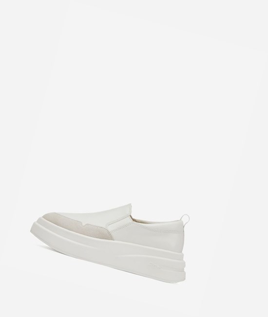 White / Off White Women's ASH Intox Low-Top Sneakers | 014WJXQAK