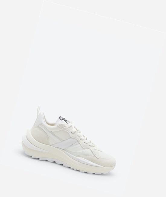 White / Off White Women's ASH Spider 620-01 Low-Top Sneakers | 174TMLEHP