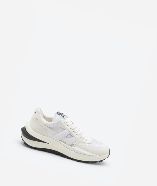 White / Pristine Women's ASH Spider 620-02 Low-Top Sneakers | 390GVNXTI