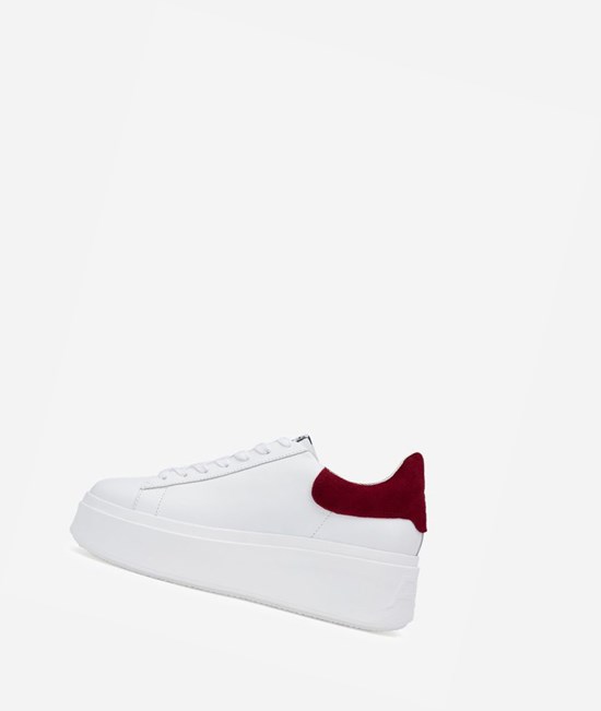 White / Red Dhalia Women's ASH Moby Low-Top Sneakers | 617KTWUOM