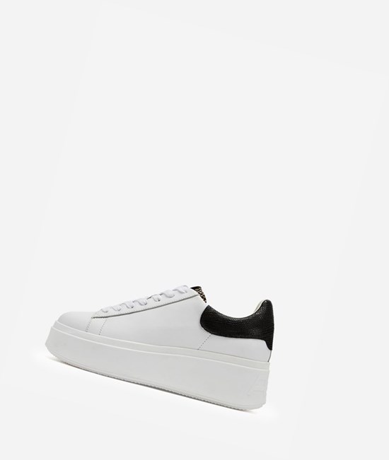 White / Roccia / Black Women's ASH Moby Low-Top Sneakers | 315EQJKMN