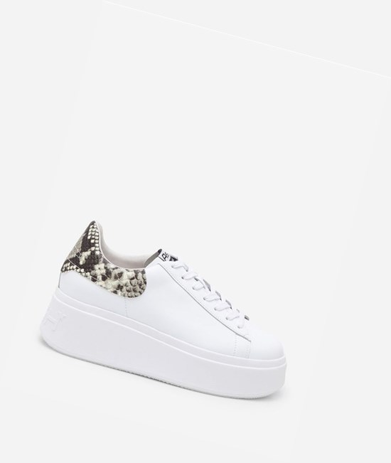 White / Roccia Women's ASH Moby Low-Top Sneakers | 014VBZKOT