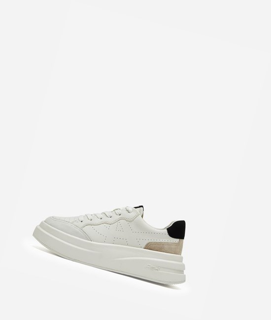 White / Talc / White / Black Women's ASH Impuls Low-Top Sneakers | 740HOQDTV