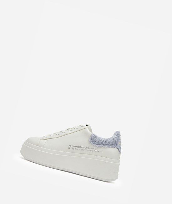 White / Young Women's ASH Moby Be Kind Low-Top Sneakers | 032YVOWCD