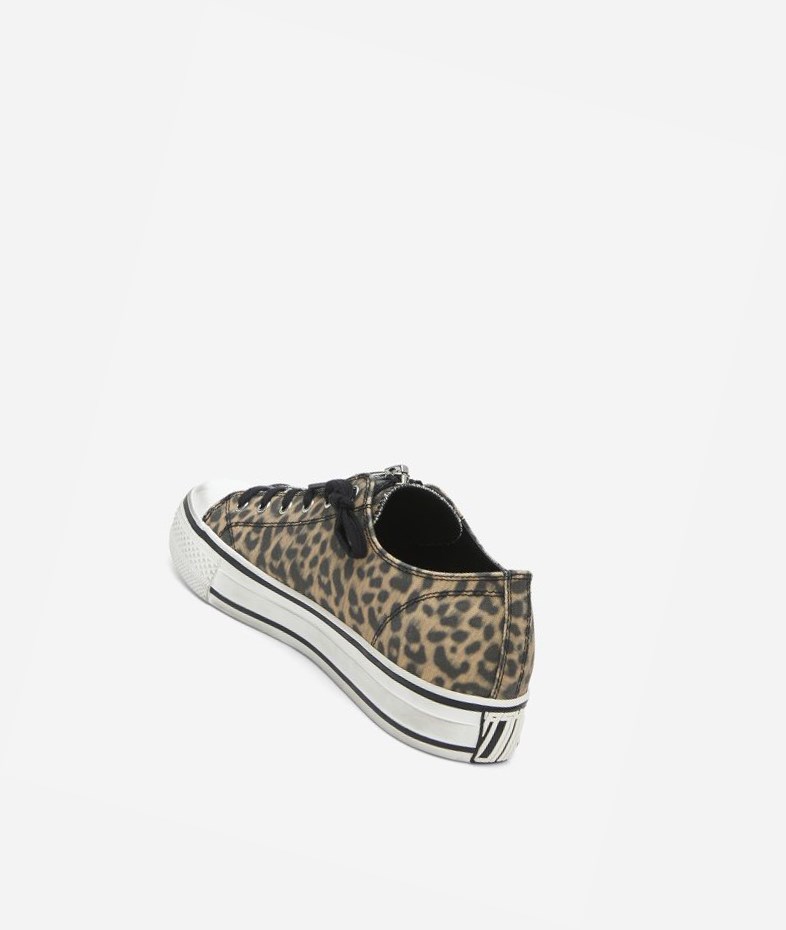 Beige / Black Women's ASH Verso Low-Top Sneakers | 014XGNUTE