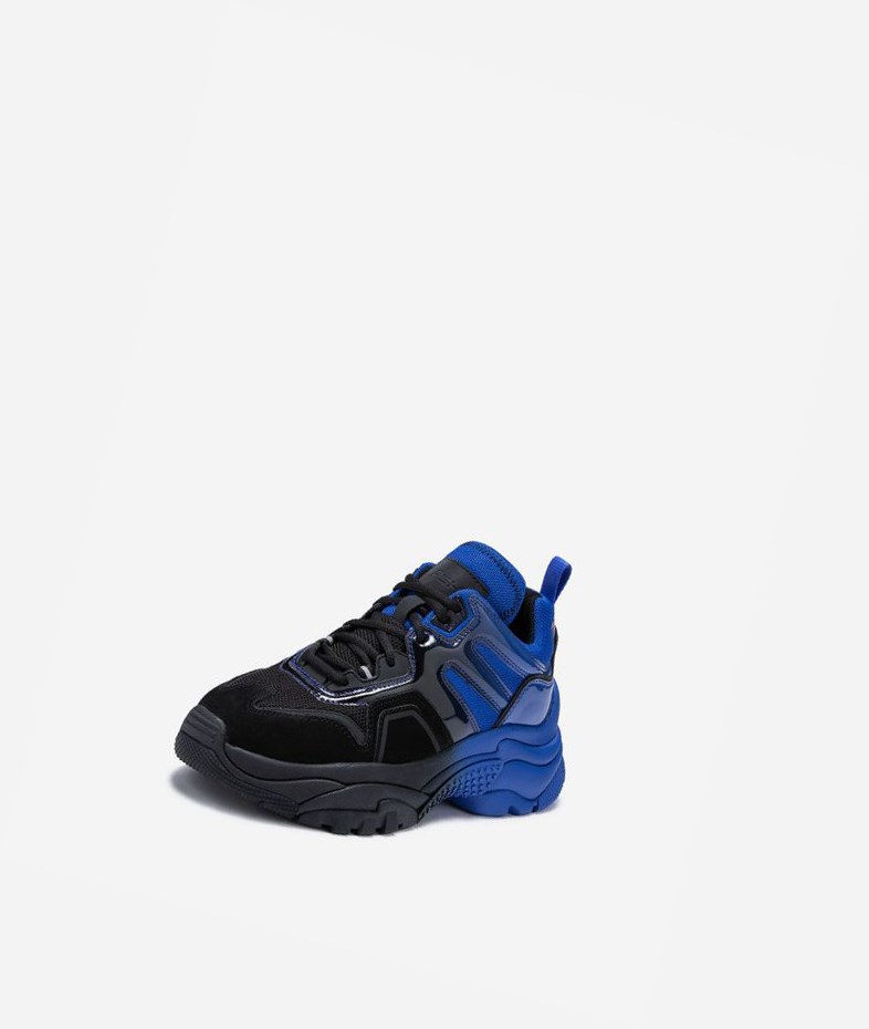 Black / Blue Women's ASH Active Low-Top Sneakers | 681KHERIY