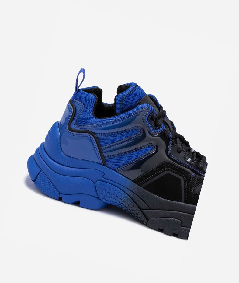 Black / Blue Women's ASH Active Low-Top Sneakers | 681KHERIY