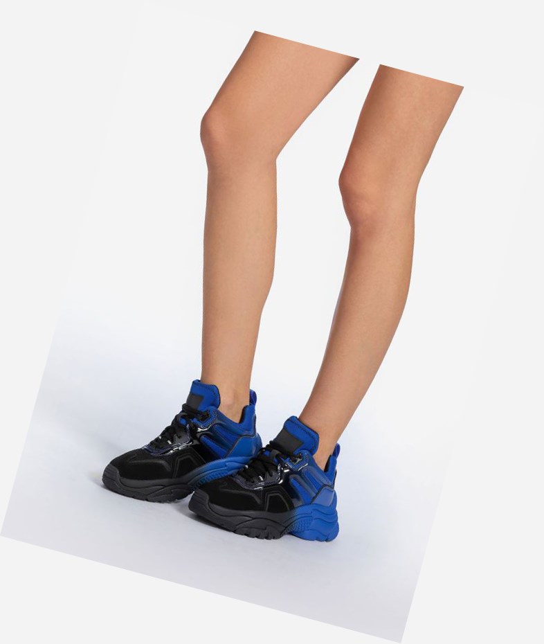 Black / Blue Women's ASH Active Low-Top Sneakers | 681KHERIY