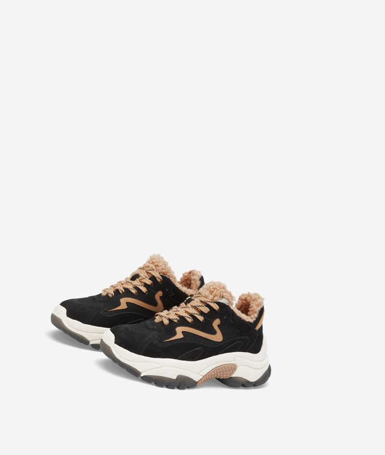 Black / Caramel Women's ASH Addict Fur Chunky Sneakers | 092BNIHJZ