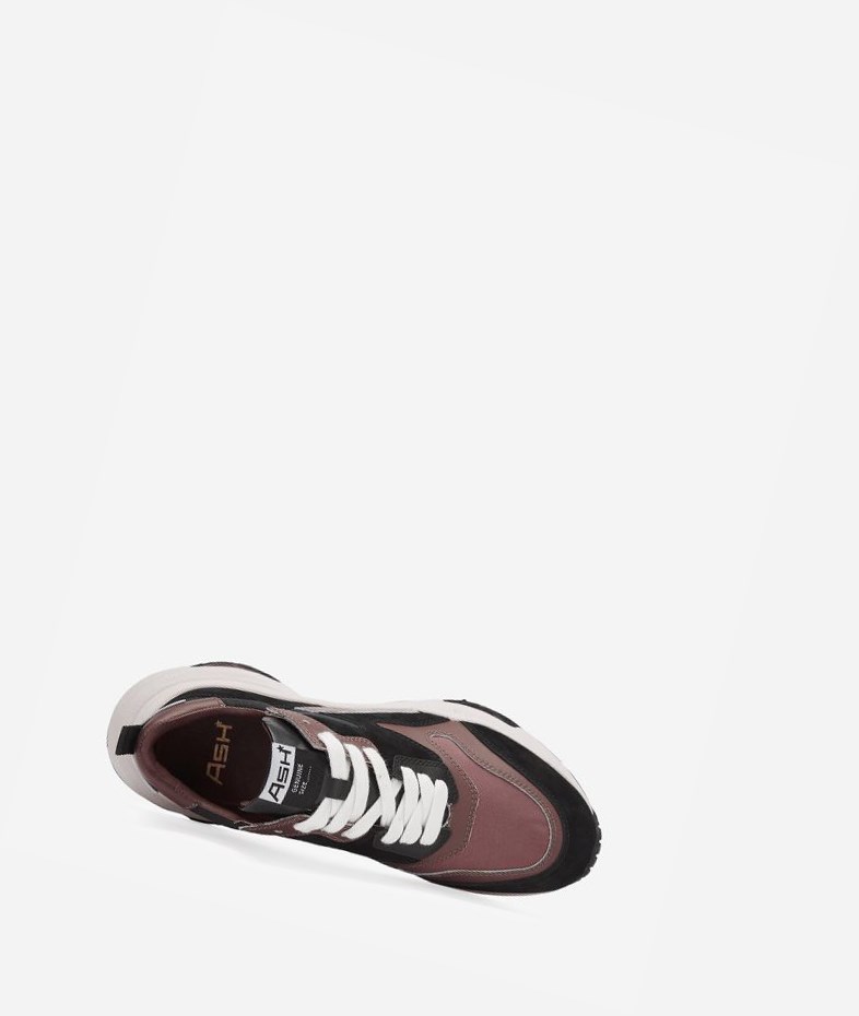 Black / Dark Pinkwood Women's ASH Octopus Low-Top Sneakers | 628AHMYCR