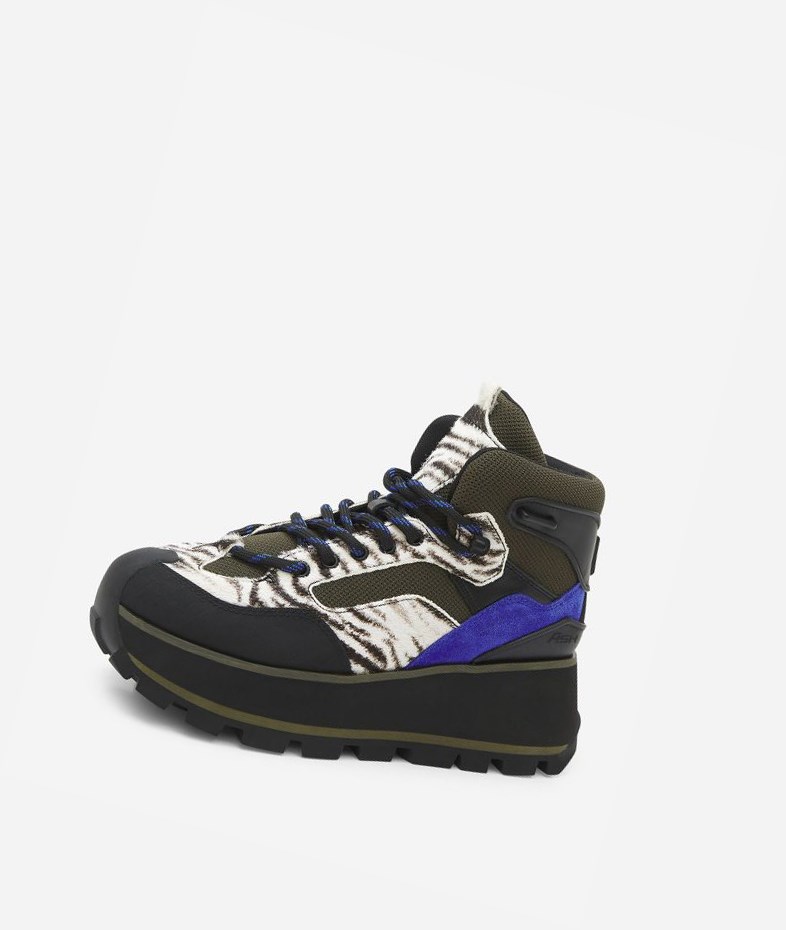 Black / White / Cobalt Women's ASH Sonic High-Top Sneakers | 491CDXGBS