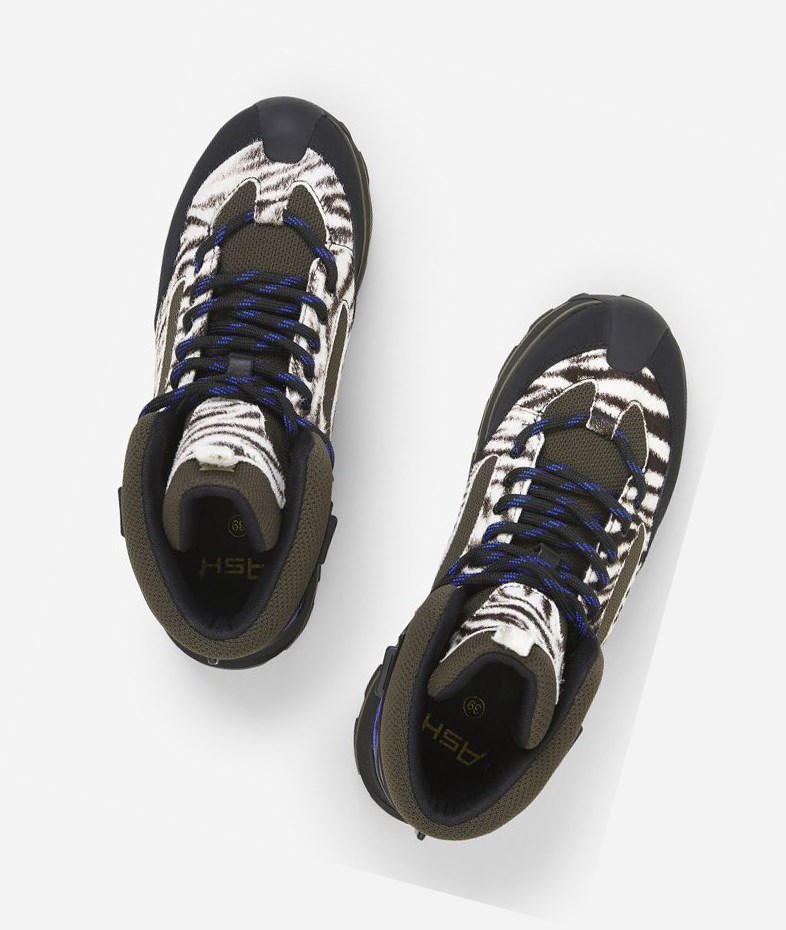 Black / White / Cobalt Women's ASH Sonic High-Top Sneakers | 491CDXGBS