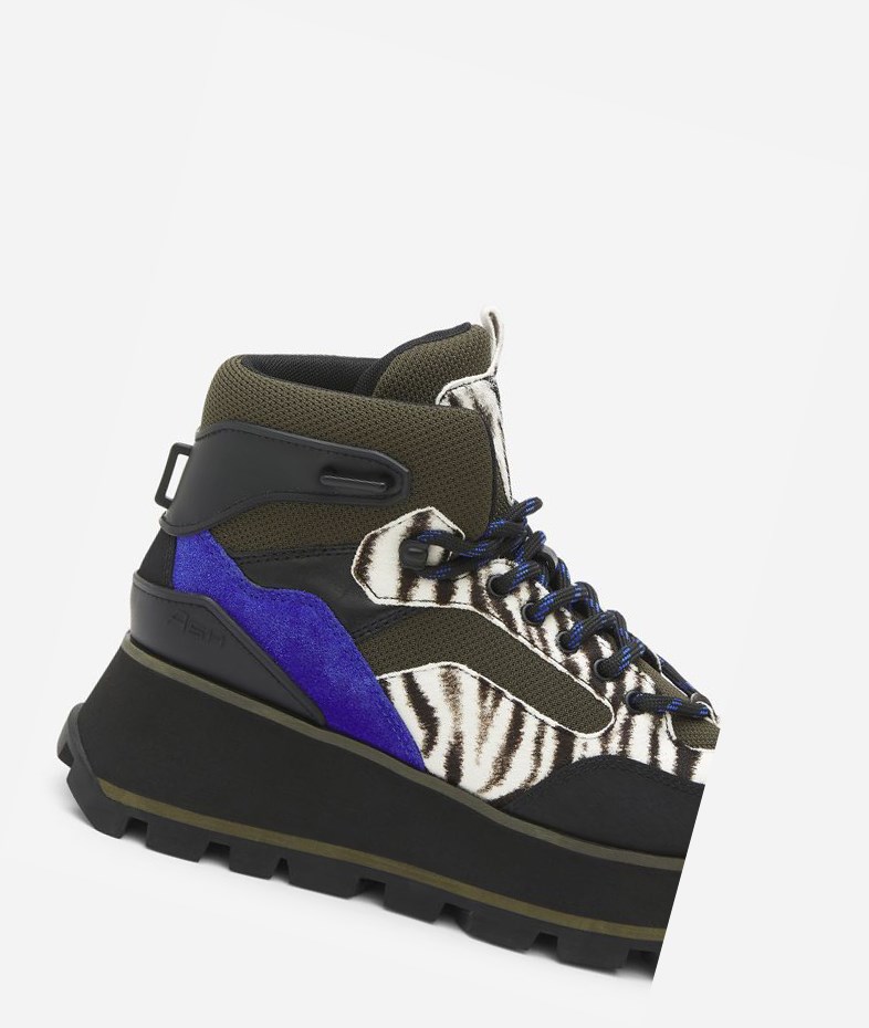 Black / White / Cobalt Women's ASH Sonic High-Top Sneakers | 491CDXGBS