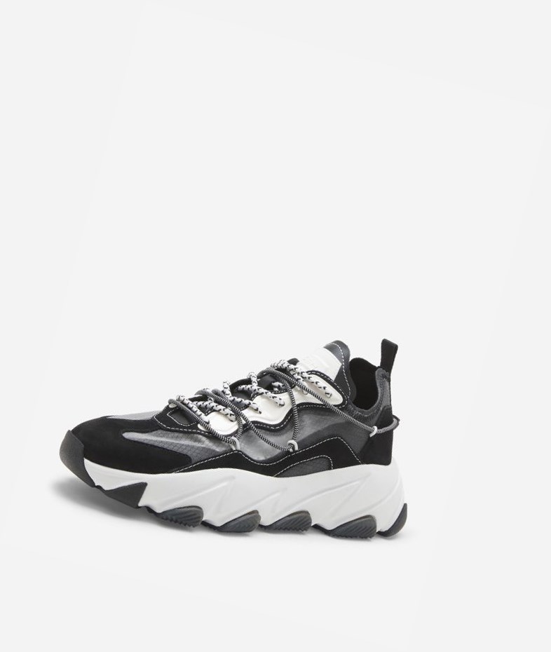 Black / White / Shining Off White Women's ASH Extra Bis Low-Top Sneakers | 753LHGYQF