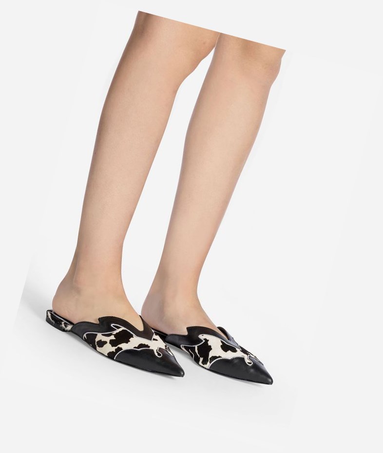 Black / White Women's ASH Dido Slip Ons | 726WNMDQO