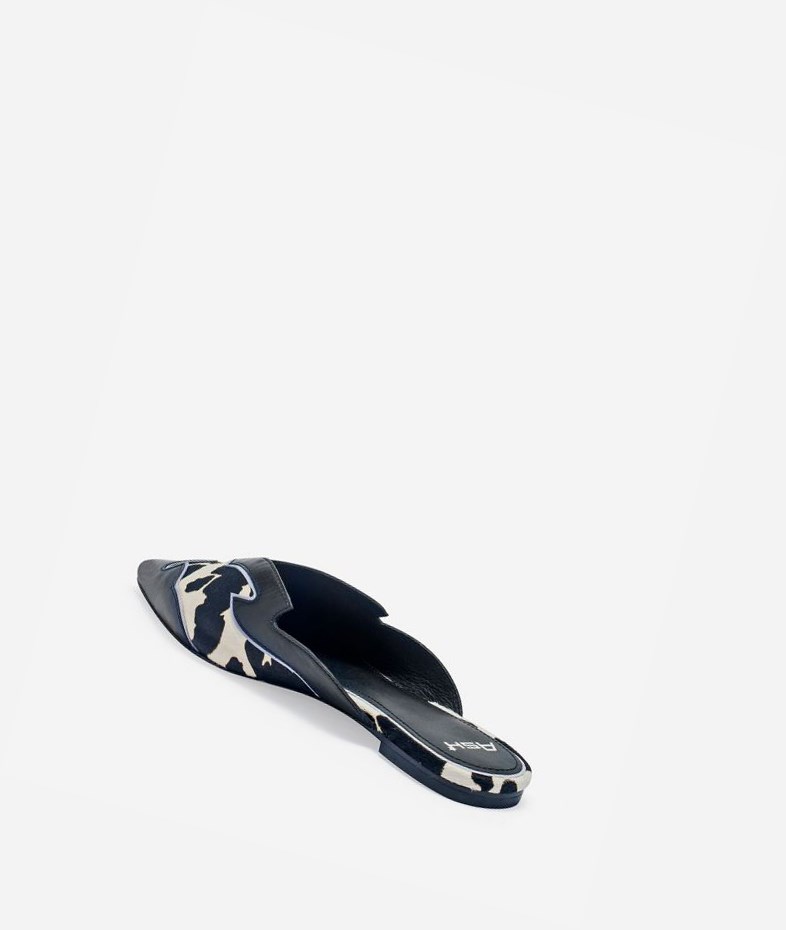 Black / White Women's ASH Dido Slip Ons | 726WNMDQO