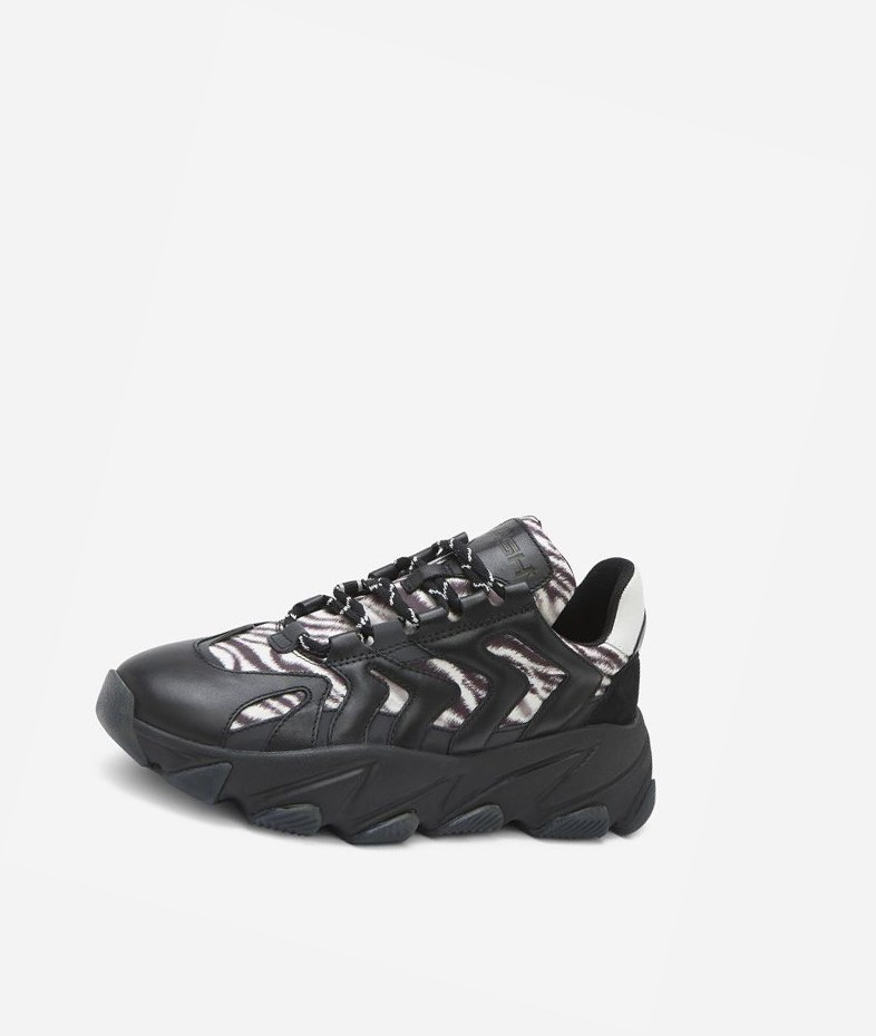 Black / White Women's ASH Extreme Low-Top Sneakers | 405SOYGPV