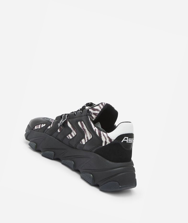 Black / White Women's ASH Extreme Low-Top Sneakers | 405SOYGPV