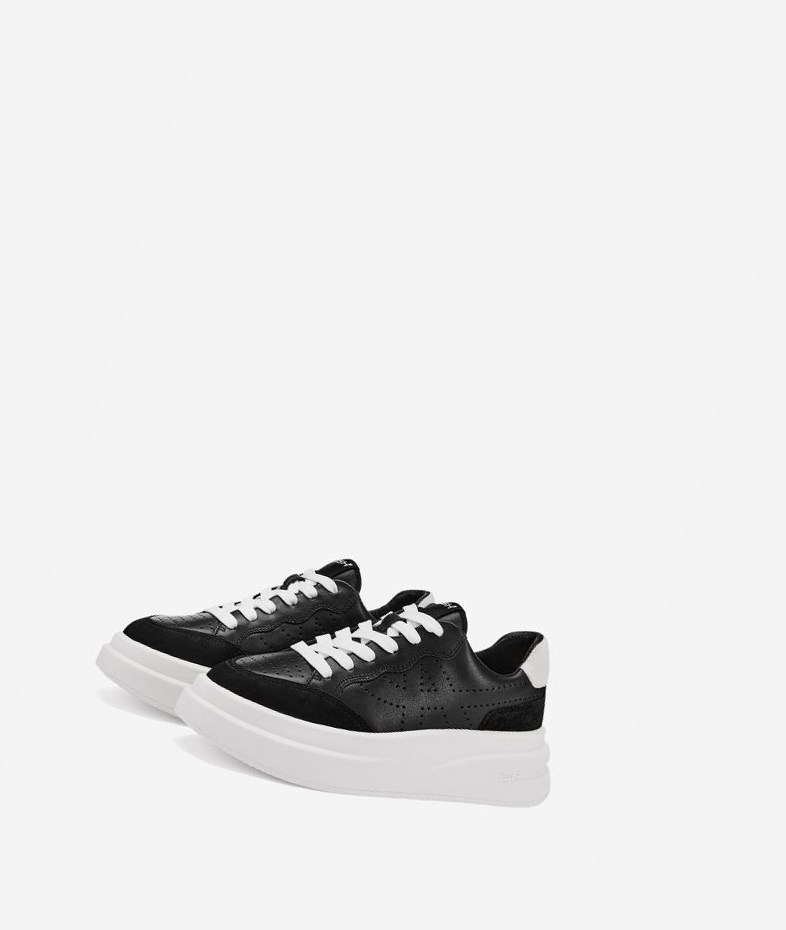 Black / White Women's ASH Impuls Low-Top Sneakers | 064LWAOBP