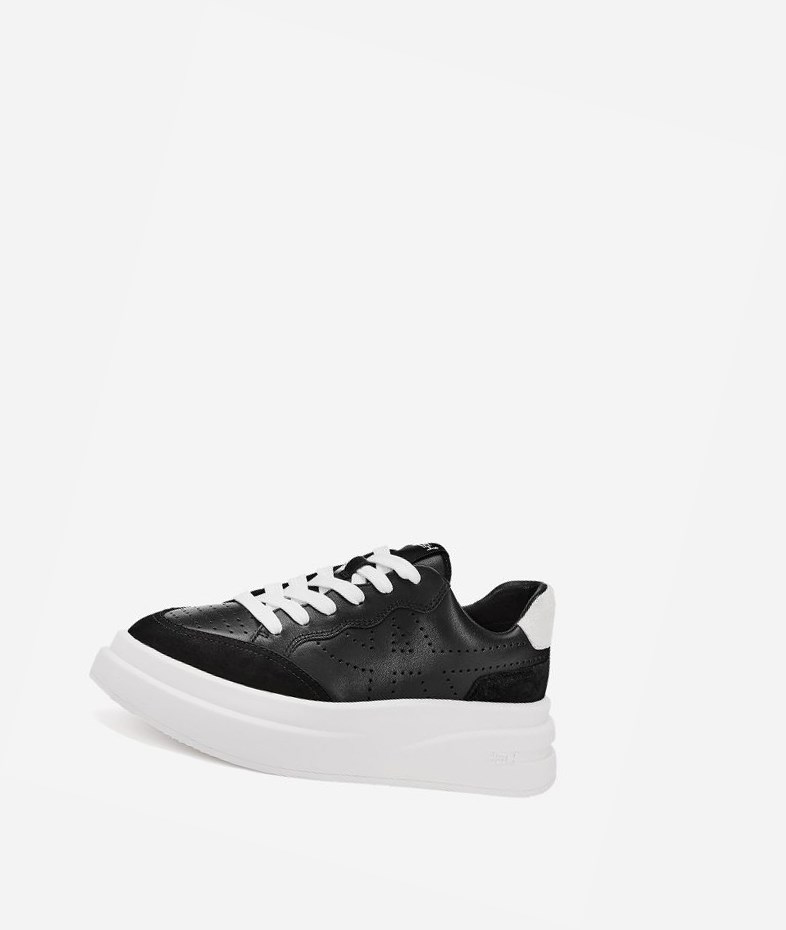 Black / White Women's ASH Impuls Low-Top Sneakers | 064LWAOBP