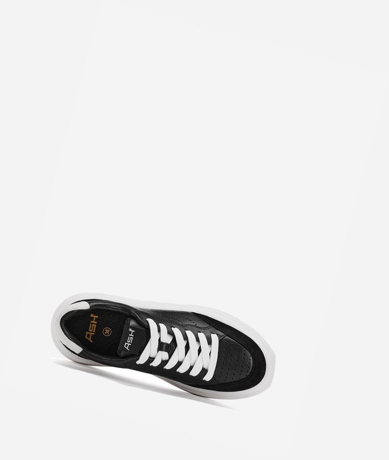 Black / White Women's ASH Impuls Low-Top Sneakers | 064LWAOBP