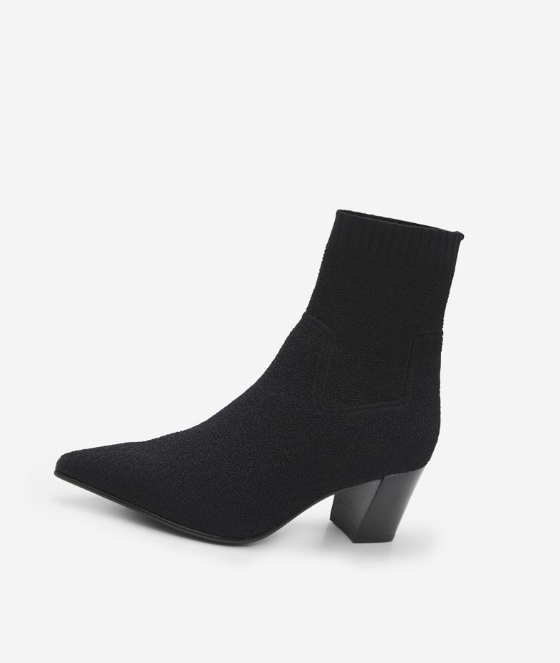 Black Women's ASH Charlotte Ankle Boots | 194SUEWJI