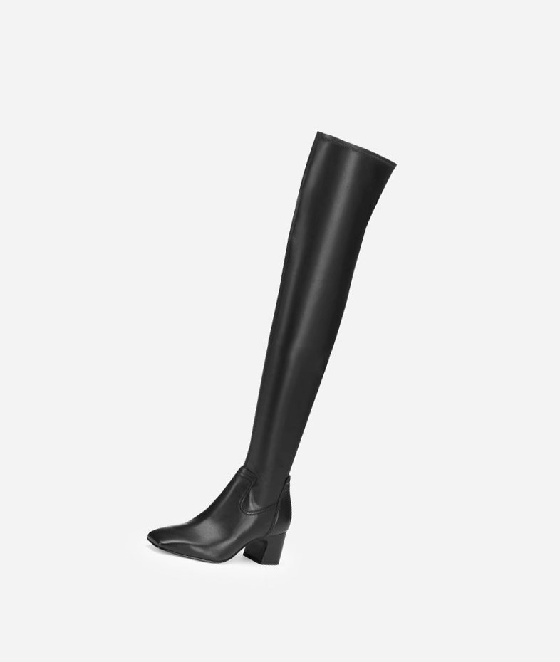 Black Women's ASH Clara Long Boots | 390XZLTIM