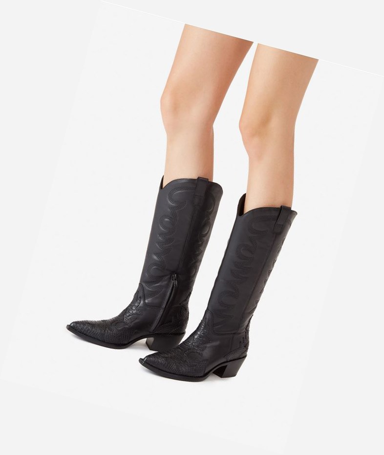 Black Women's ASH Dream Long Boots | 027AWPEQH