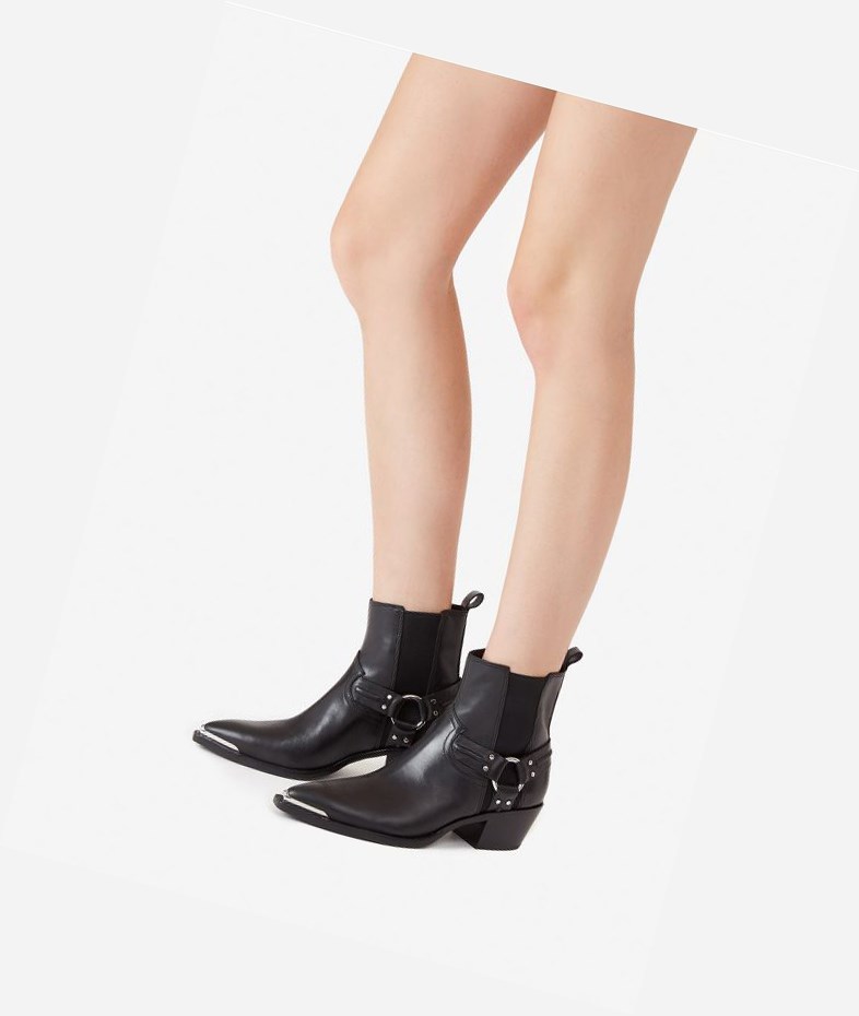 Black Women's ASH Dusty Ankle Boots | 324SLHOVA