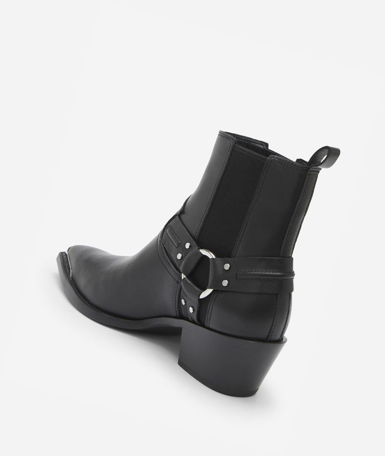 Black Women's ASH Dusty Ankle Boots | 324SLHOVA