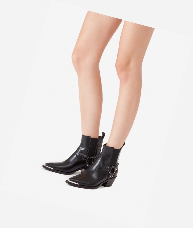 Black Women's ASH Dusty Ankle Boots | 749NUZICS